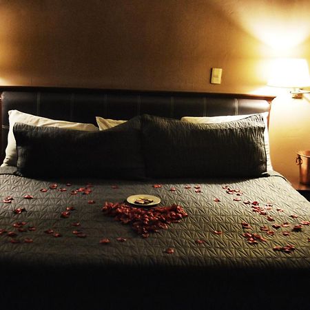 Hotel Flamingo Kristal Irapuato Kültér fotó